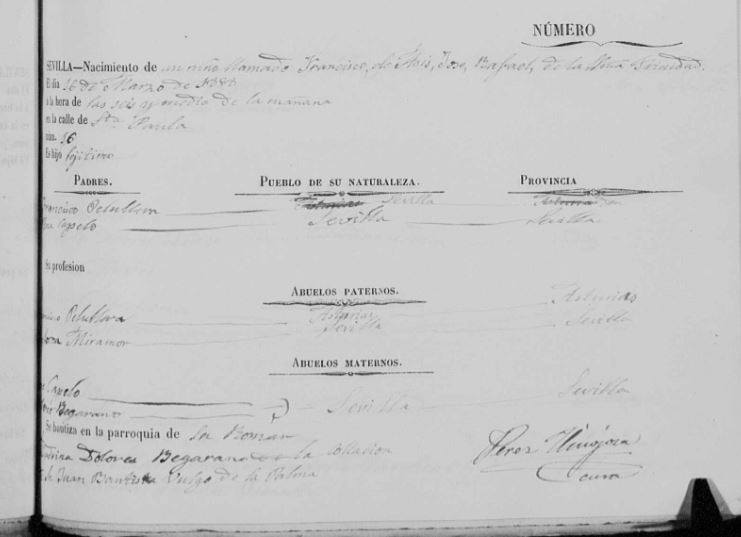 Acta de nacimiento de
Francisco de Asís, José, Rafael, de la Santisima Trinidad Peruyera Capelo. 