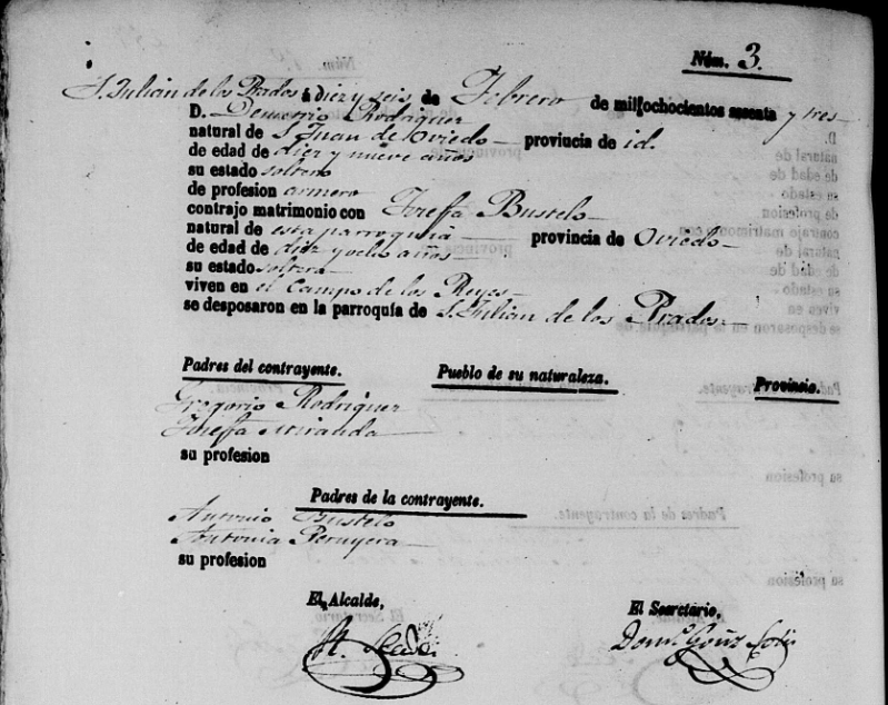 Acta de matrimonio de Josefa Antonia Fernández-Bustelo Peruyera con Demetrio Rodriguez Miranda. 
