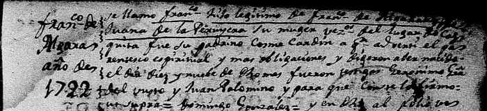 Extracto de la parida de bautismo de Francisco de Algara de La Peruyera, perteneciente al pleito de hidalguía iniciado por él mismo (parte dos).