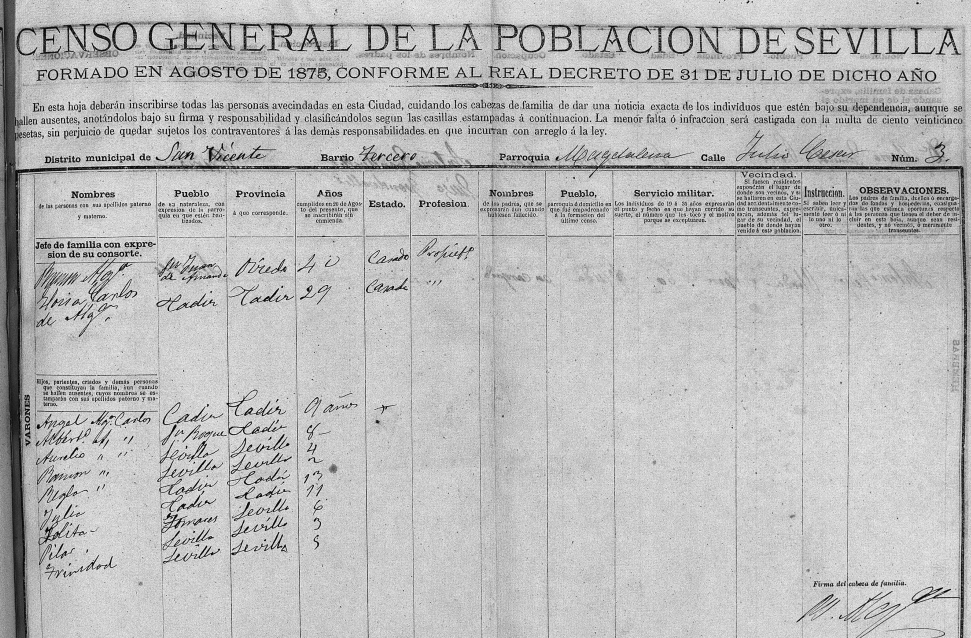 Padrón de Sevilla del 1875.